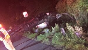 Crashed car in roadside bushes at night with emergency lights
